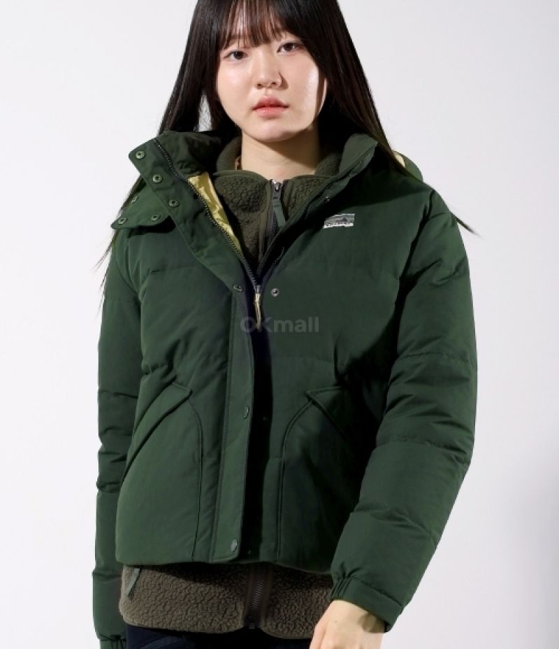 patagonia｜DOWN JACKETS (W Downdrift Jkt (20625-PNGR)) (Patagonia