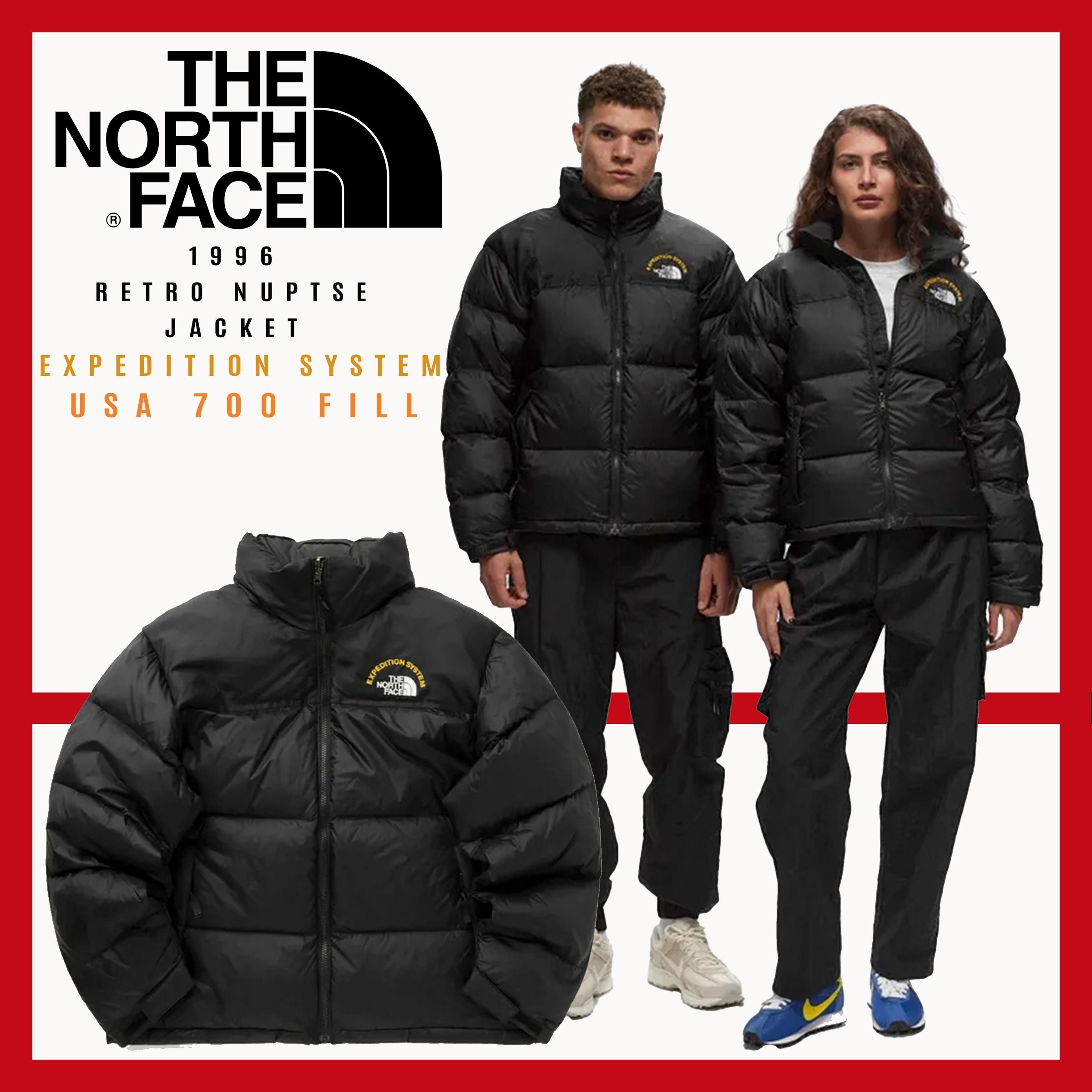 激レア 24新作☆TNF☆EXPEDITION SYSTEM☆ヌプシダウン☆700fill (THE