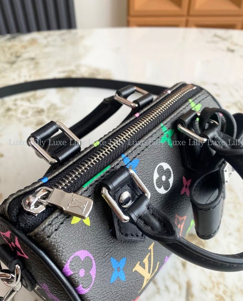 村上隆コラボ♪】ルイヴィトン LV×TM ナノ スピーディ バッグ (Louis