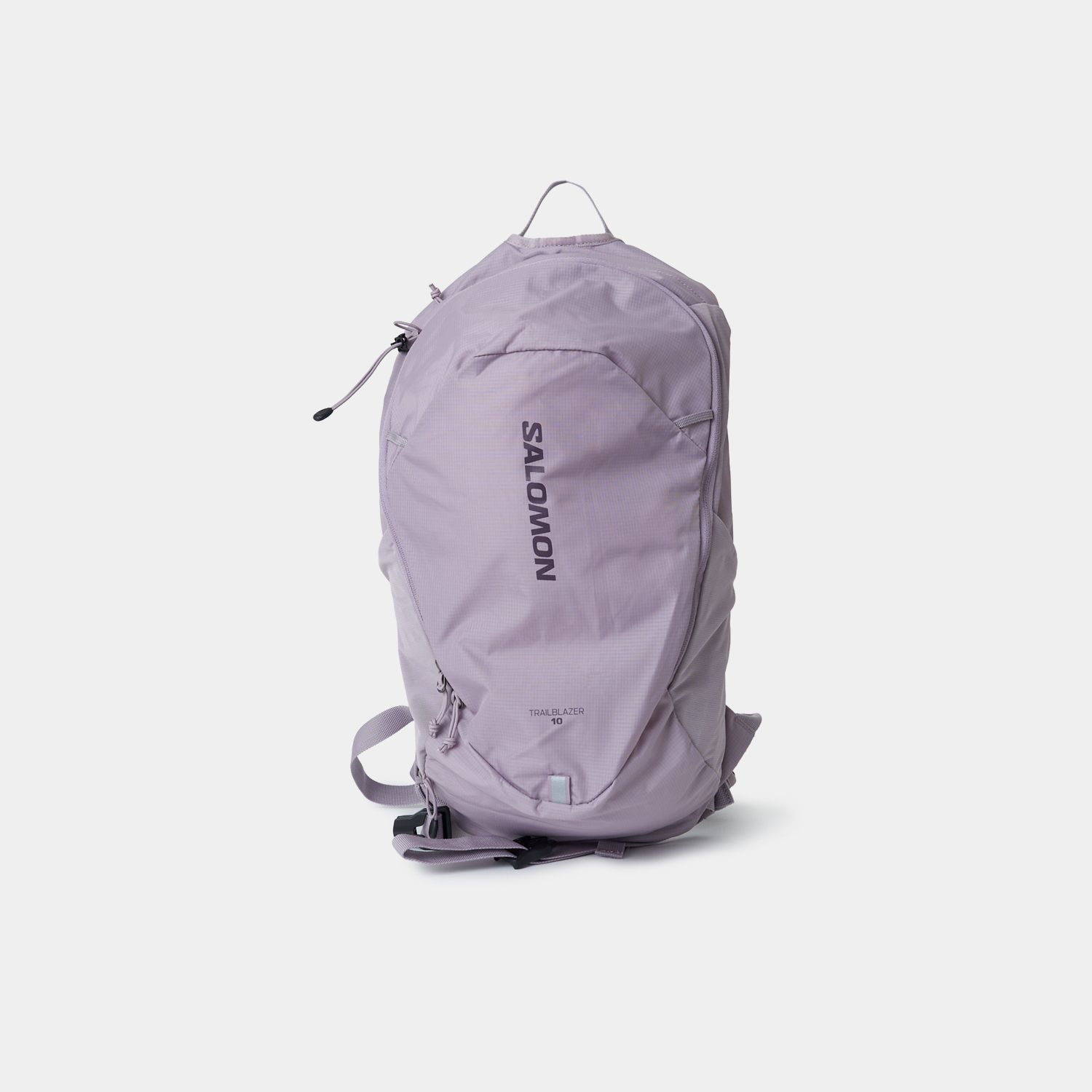 Salomon (バックパック・リュック) (Salomon/バックパック・リュック