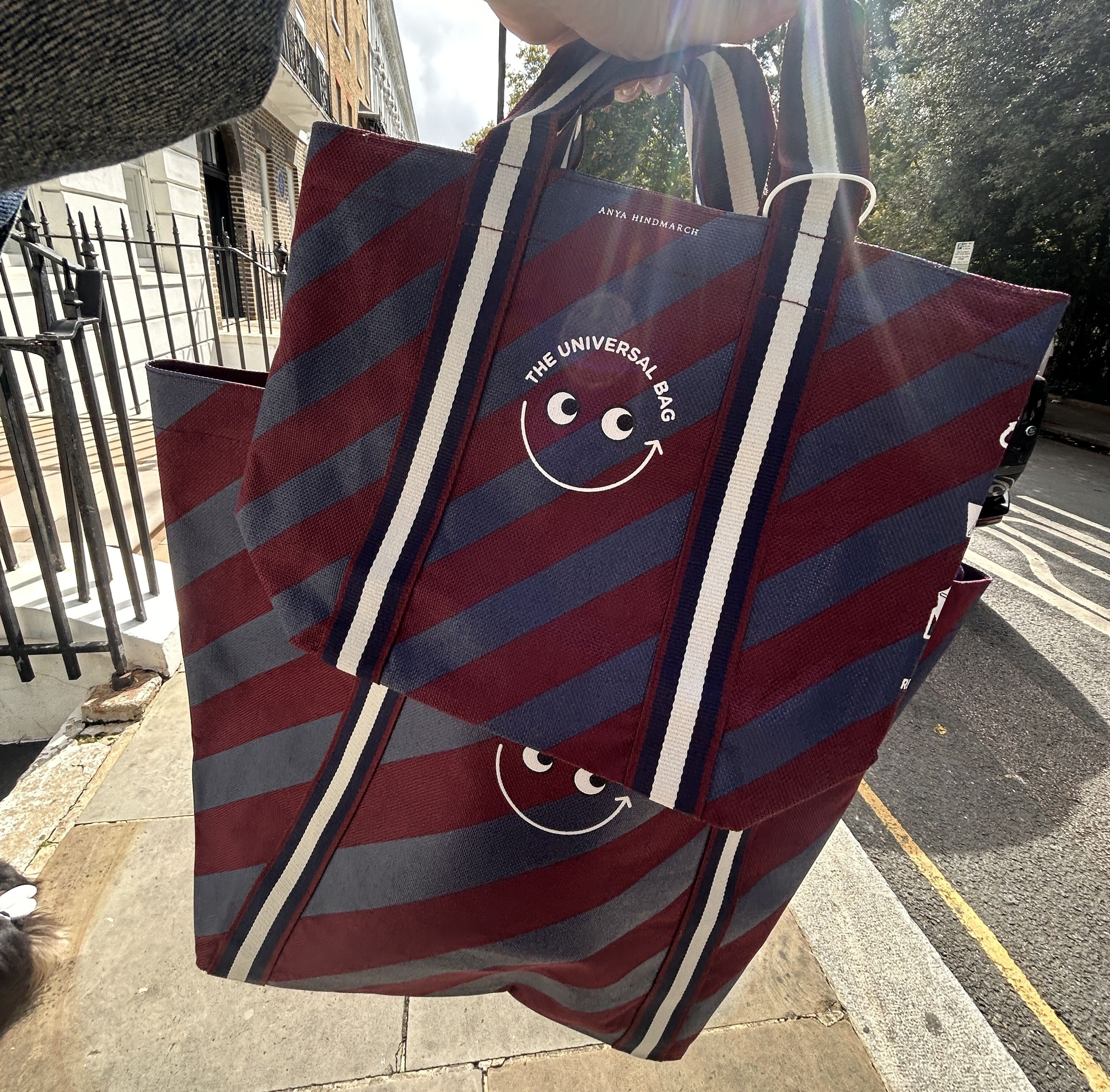 ◇ Anya Hindmarch Tuck shop ◇Universal Bag 大小2セット (Anya