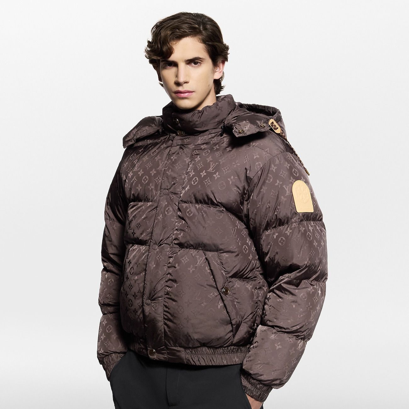 Louis Vuitton☆モノグラムダウンブルゾンジャケット ブラウン (Louis