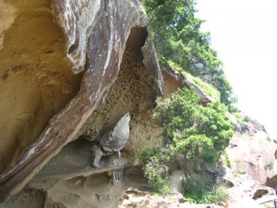 父と二人で☆【熊野の世界遺産】七里御浜と鬼ヶ城』熊野(三重県)の旅行
