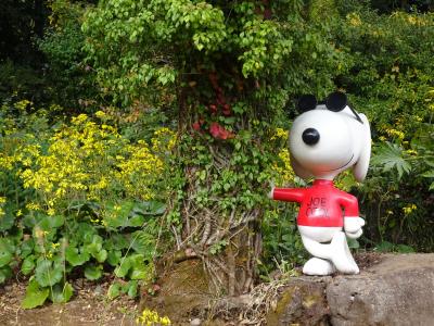 lrg_11882210.jpg?updated_at=