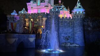 眠れる森の美女の城 クチコミ・アクセス・営業時間｜ディズニーランド