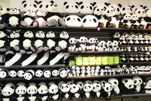 優雅に3泊2日の南紀白浜アドベンチャーワールド三昧（3）平日狙いで