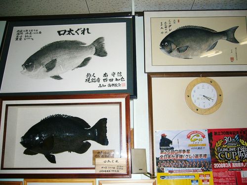 四国 鵜来島の磯釣』宿毛(高知県)の旅行記・ブログ by makoさん