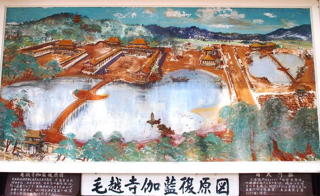 平安時代の優美な庭園で、あやめを愛でて・・・ ～世界遺産・毛越寺