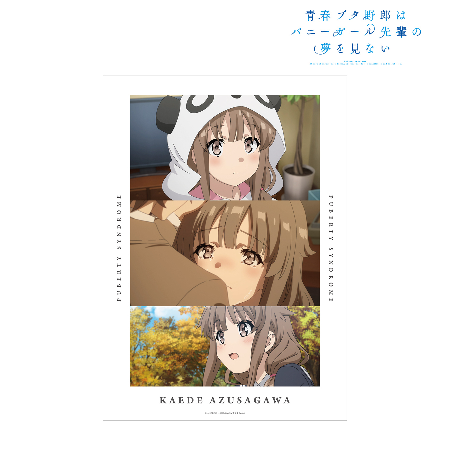 青春ブタ野郎はバニーガール先輩の夢を見ない_梓川かえで 場面写A3