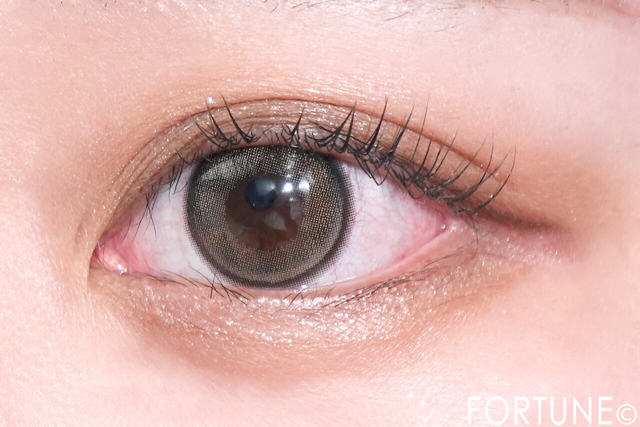 SUQQU（スック）25年秋新作｜人気アイシャドウ『シグニチャー カラー