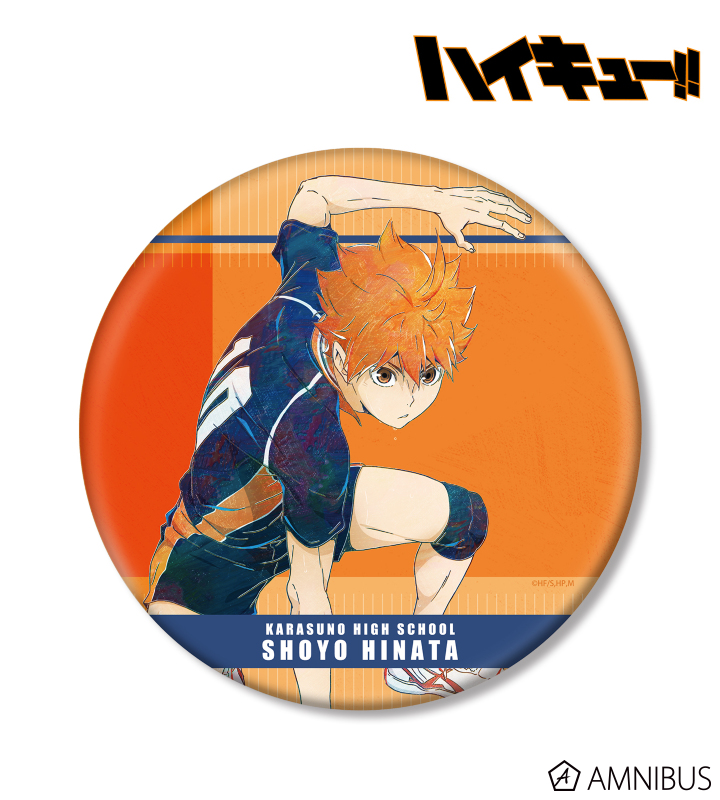 ハイキュー カラパレ バッジ 掃除 100点 日向翔陽 ハイキューカラパレ