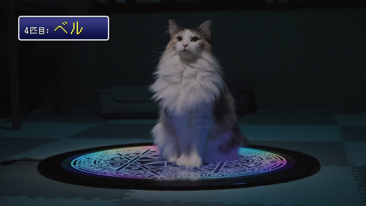 ヤマト運輸が本気でつくったネコ転送装置 『クロネコみっけ』最新作