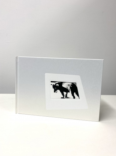 DAIDO SLIDE（左） - 森山大道 | AKIO NAGASAWA