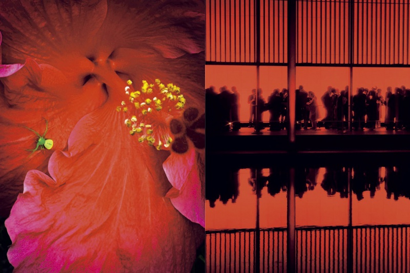 Eternity in a Moment vol.1 - 蜷川実花 | AKIO NAGASAWA