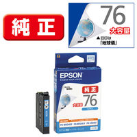 エプソン (EPSON) ICBK76(地球儀) 純正インクカートリッジ ブラック(大