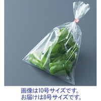 防曇（ボードン）袋 0.02mm厚 穴あり（4つ穴） 10号 1セット（1000枚