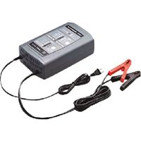 セルスター工業 CELLSTAR バッテリー充電器 DP-2500 1台 223-8742