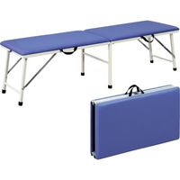 大信工業 折りたたみ診察台 500×1800×500mm DF-C 1台 0-5209-01（直送