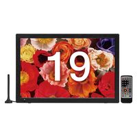 WIS 24インチgoogleチューナーレスTV 24GTN 1台（直送品） - アスクル