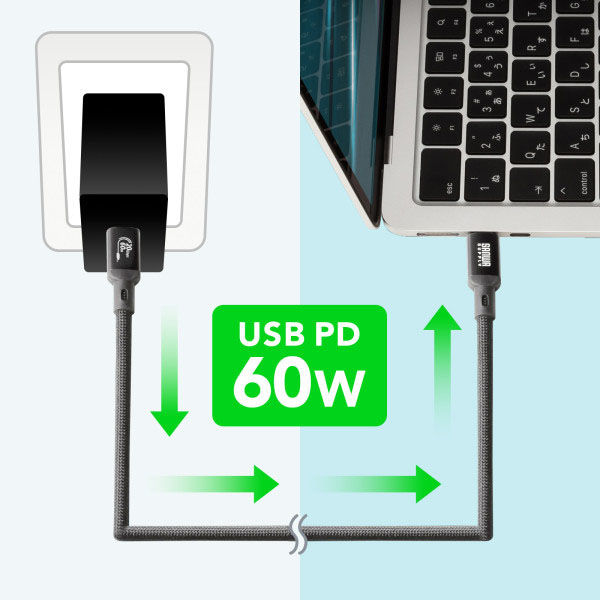 サンワサプライ USB20Gbps Type-Cケーブル(PD60W・3m) KU-20GCCP6030 1