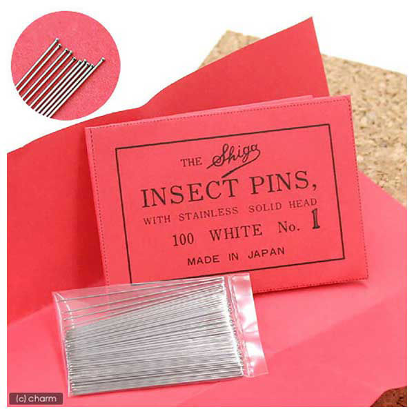 志賀昆蟲普及社 志賀昆虫 1号 100本 有頭シガ昆虫針 標本針 標本