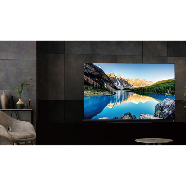 TVS REGZA 4K有機ELレグザ X8900L series 55X8900L 1台（直送品