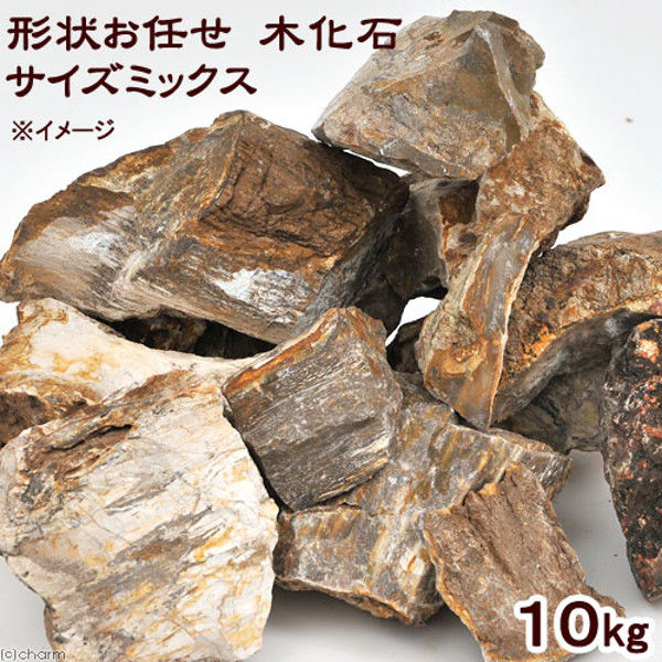 形状お任せ 木化石 サイズミックス 10kg 115656 1個（直送品） - アスクル