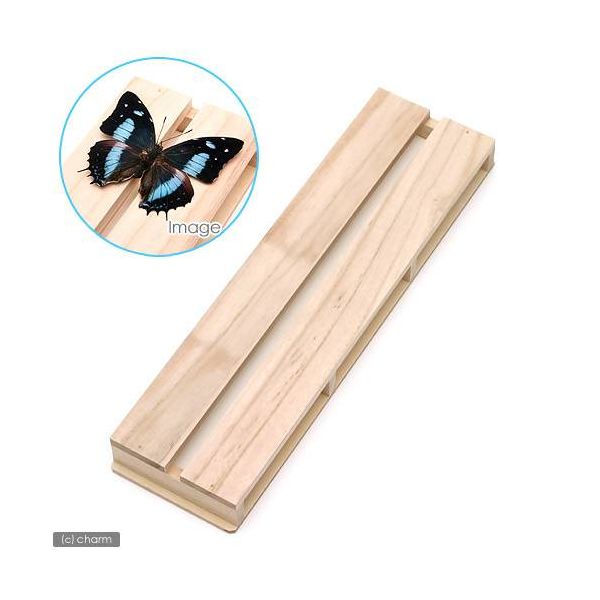 志賀昆虫普及社 36×10cm 2号 展翅板 2250000420300 1個（直送品