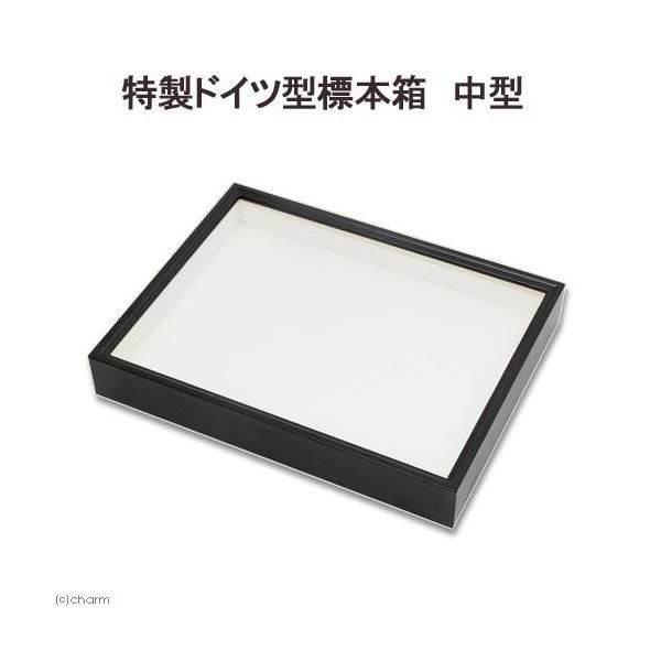 志賀昆虫普及社 特製ドイツ型標本箱 志賀昆虫 昆虫 標本 2250001788560