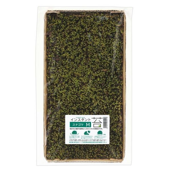 リーフ インスタント苔 スナゴケM 外径14cm×26cm ドライタイプ