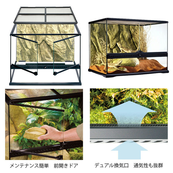 ジェックス GEX エキゾテラ グラステラリウム 6045 49753 1個（直送品