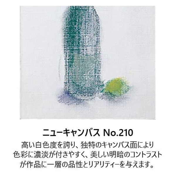 エスケント 水彩画紙8ツ切100枚 No210ニューキャンバス ニユーキヤン