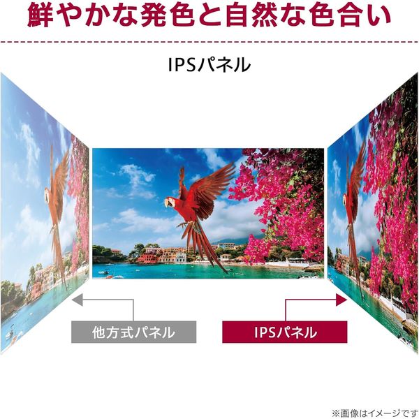 LG Electronics Japan 31.5インチ 4Kワイド液晶ディスプレイ(3840x2160