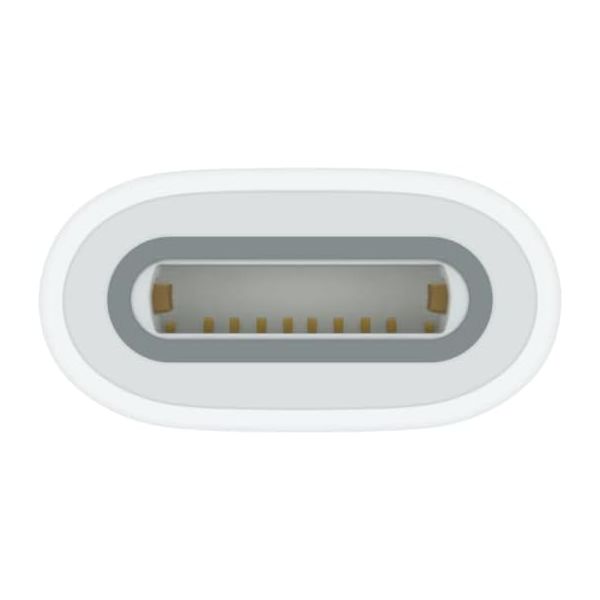 Apple純正 USB Type-C ー Apple Pencilアダプタ iPad 第10世代対応