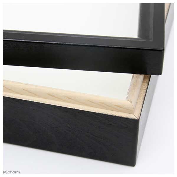 大型ドイツ箱×1 中型印籠箱×2 標本箱3セット Amazon.co.jp: サイエンス