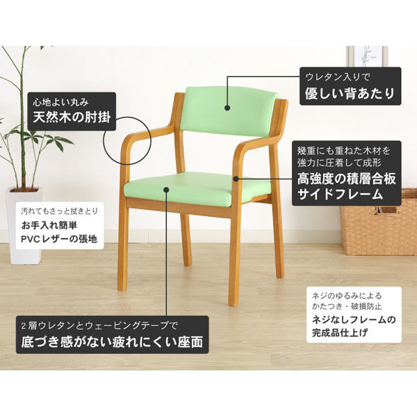 軒先渡し】貞苅椅子製作所 Careシリーズ 高齢者向け介護イス Care-116