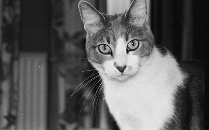 レンズ: Minolta AF 28-80 / 4-5.6 Zoom Xi · Lomography