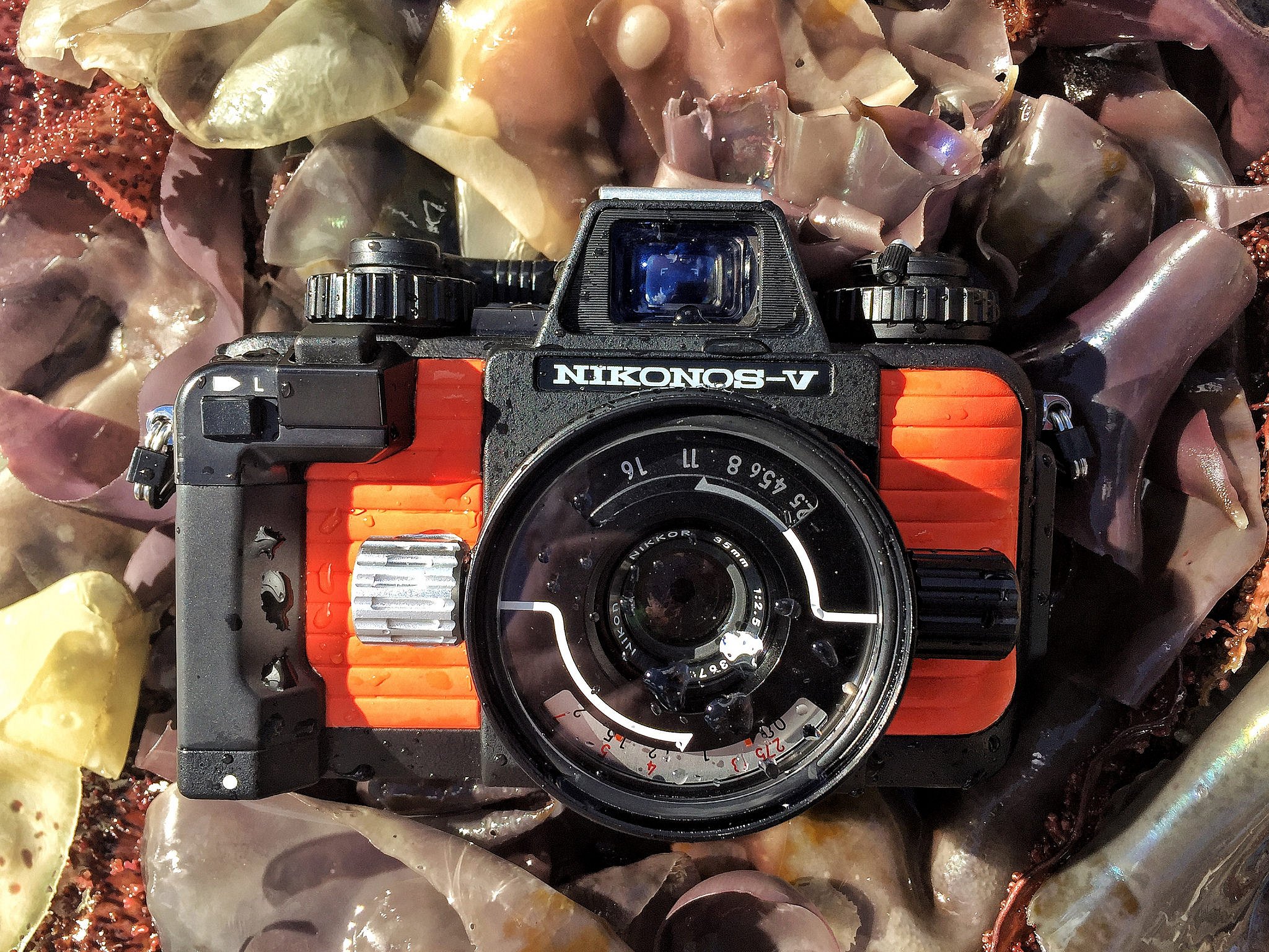 Lomopedia: Nikonos V · Lomography