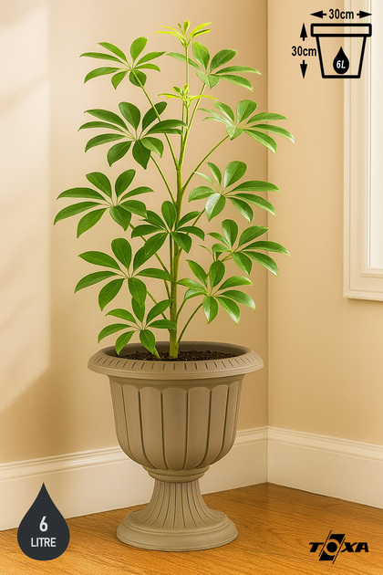 ToXA Serinova Nergis Saksı 6 Litre Deliksiz Mocha Kahve Ayaklı