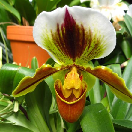 Canon POWERSHOT SD850 IS sample photos - ExploreCams