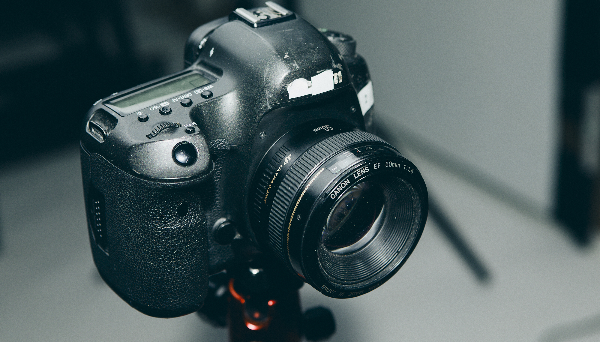 Canon EF 50mm f/1.4: This Budget Lens Packs a Punch Even In 2024