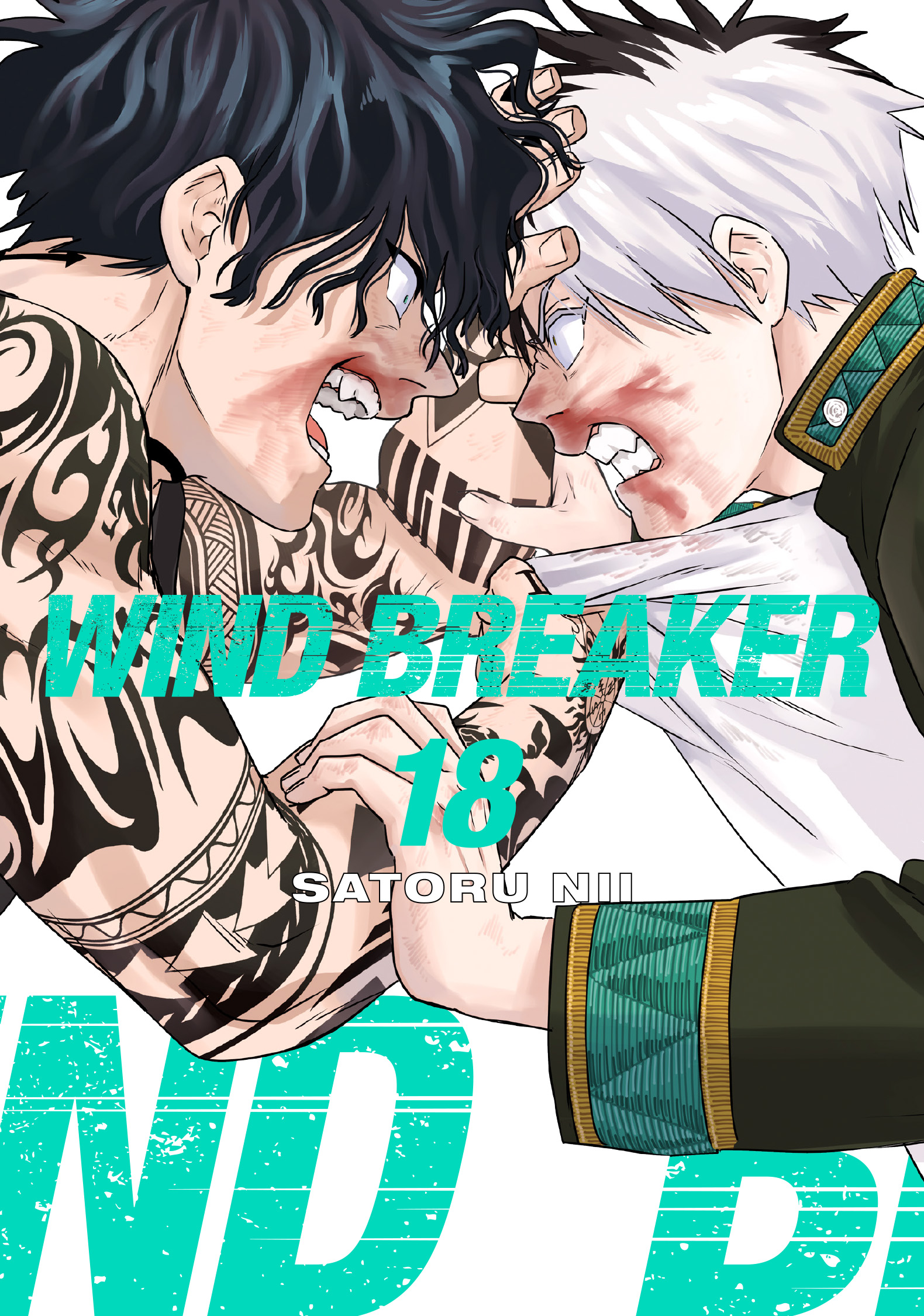 WIND BREAKER, Volume 18