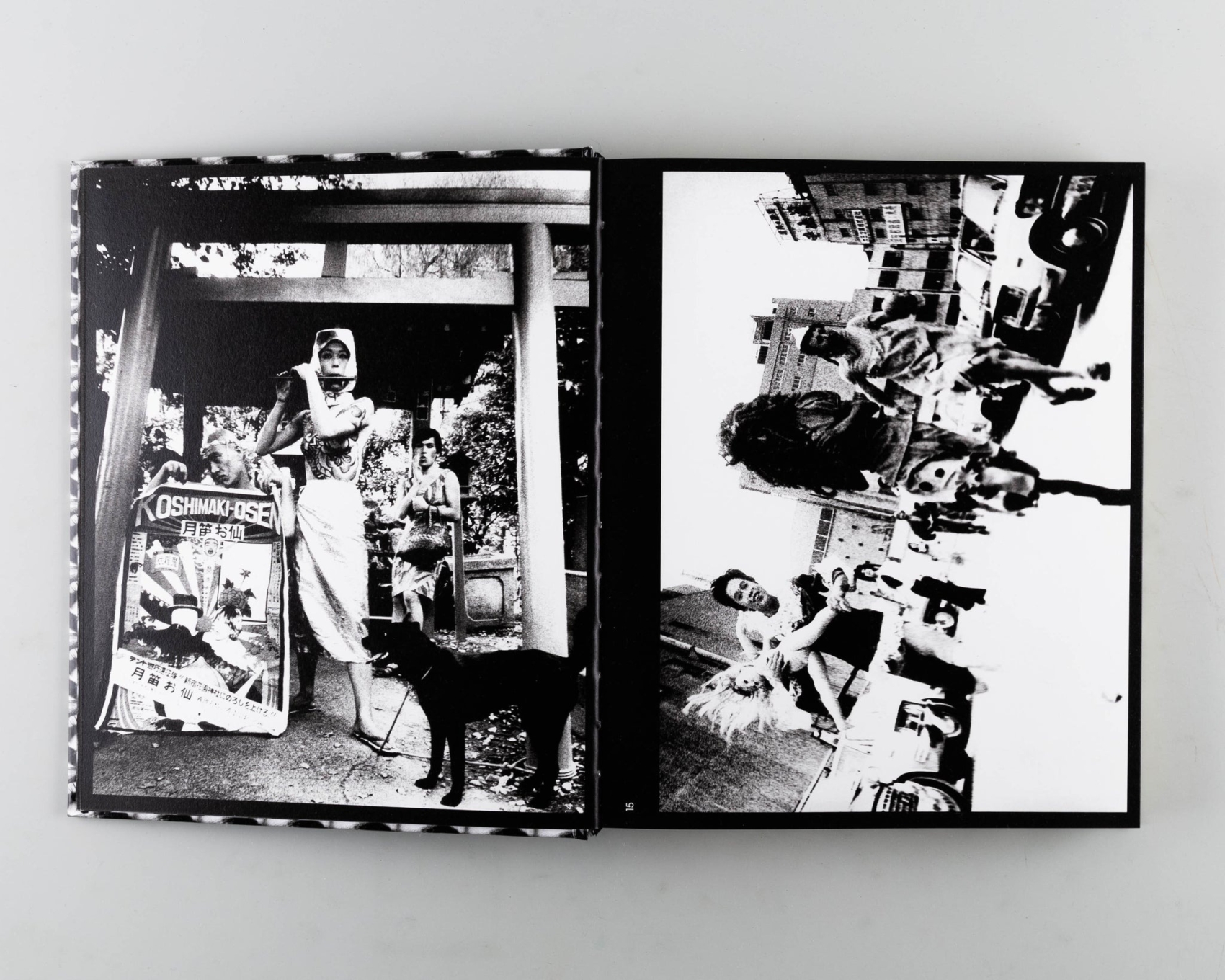 Buy Daido Moriyama: A Retrospective | Photography books?