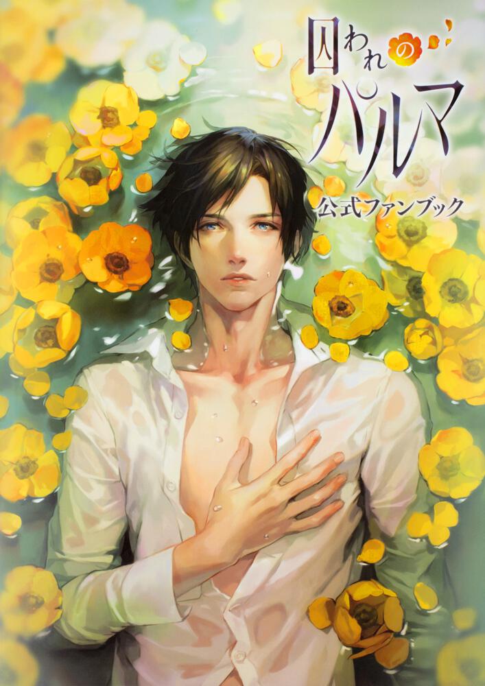 囚われのパルマ 公式ファンブック | 書籍 | ビーズログ.com