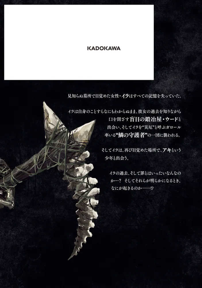 DARK SOULS Redemption 1」SHONEN [ヒューコミックス] - KADOKAWA