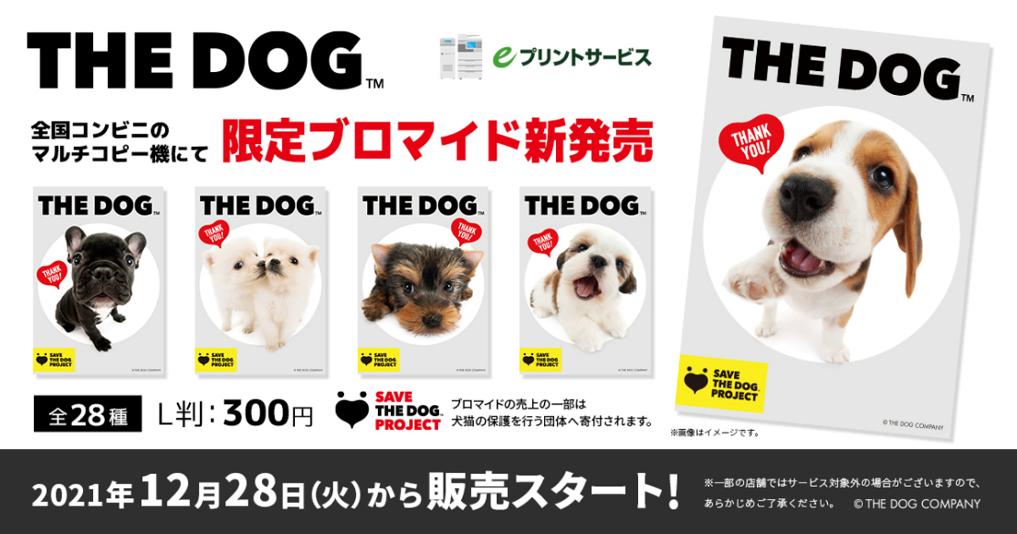 可愛い犬の写真を買うだけで保護活動に参加！ 「THE DOG ブロマイド