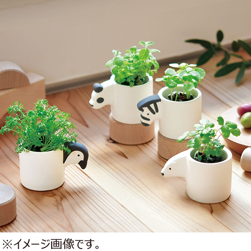 聖新陶芸 モノクロアニマル ワイルドストロベリー GD1007‐03｜【ハンズ