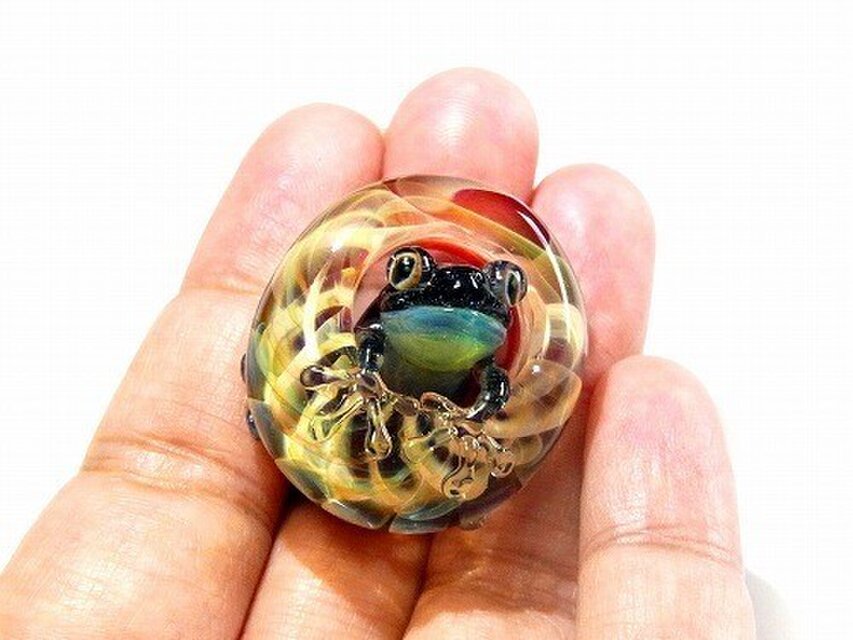 足音【 kengtaro / ケンタロー 】 水たまりと波紋 カエル ガラス