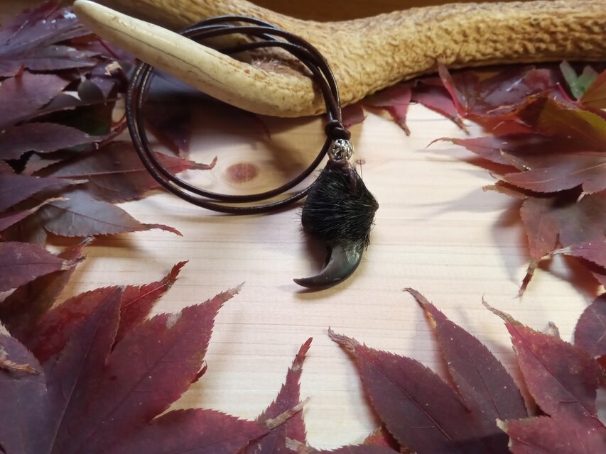 熊爪（ベアクロー）ワイルドネックレス 【希少！ツキノワグマ 肉球付き