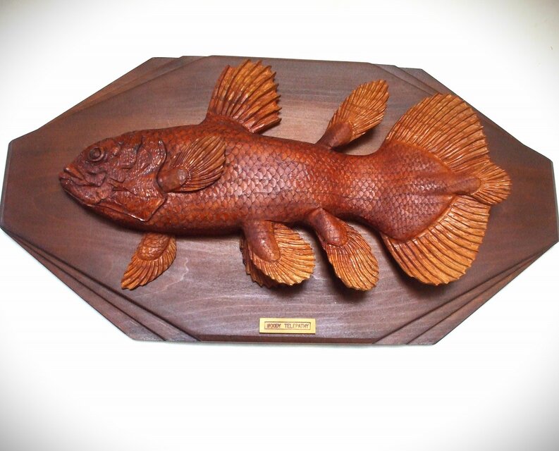 ☆シーラカンスの幼魚☆木彫りレリーフ☆ | iichi 日々の暮らしを